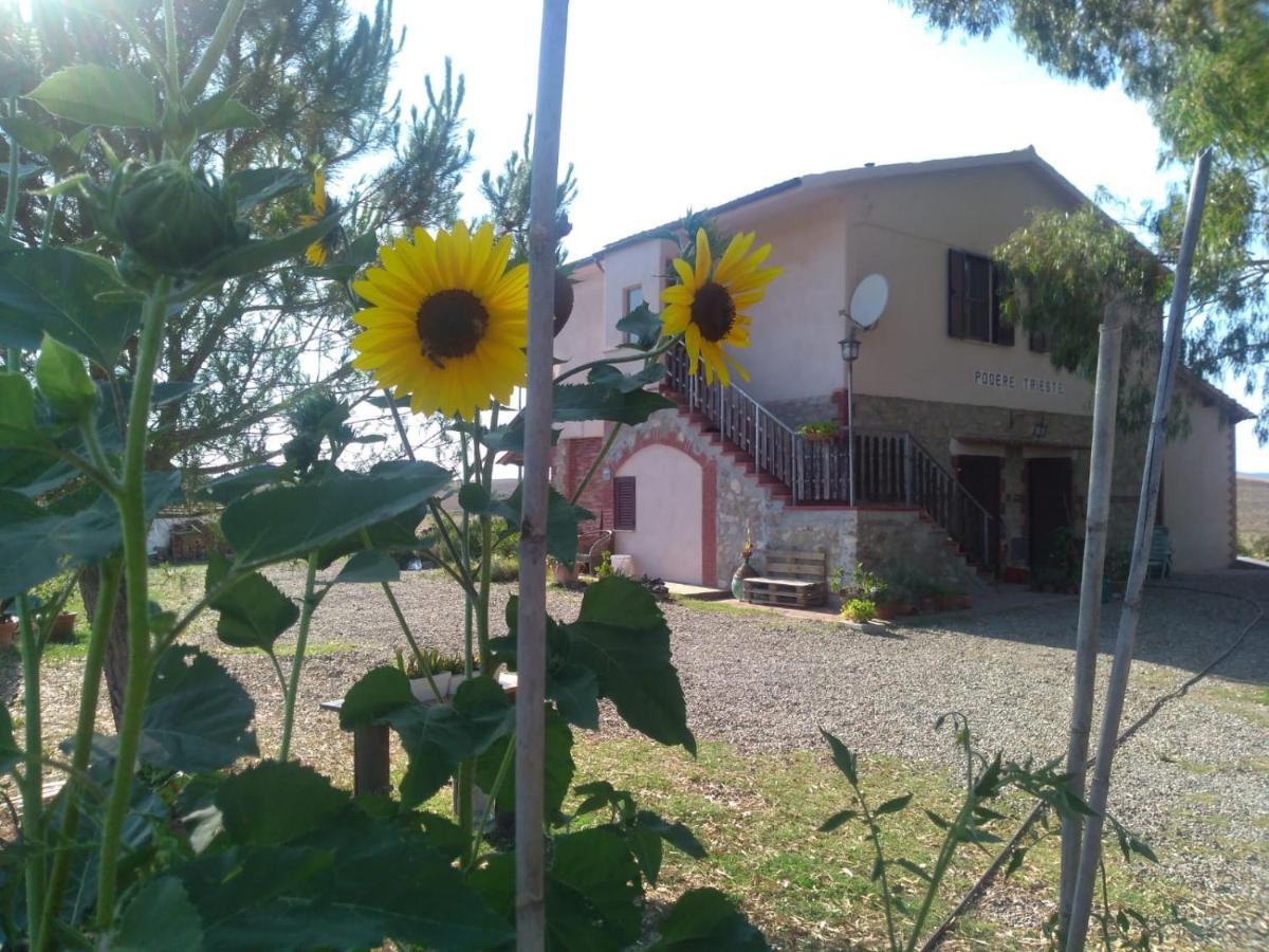Enjoy Sunset Villa Colle Massari Exterior foto